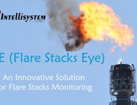 FSE - Flase Stacks Eye - Intellisystem Technologies